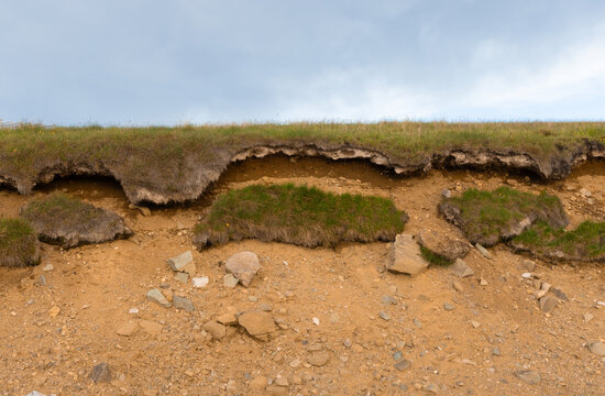 Coastal erosion, showing a distinct layer of topsoil and grass undermining and slipping over a sandy, rocky base. Soil erosion
