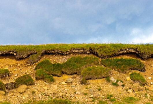 Soil erosion and slumping along a grassy hillside