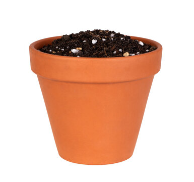Flower pot with potting mix isolated on white or transparent background 