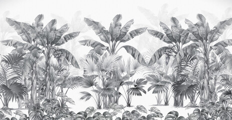 tropical plants banana © ilie