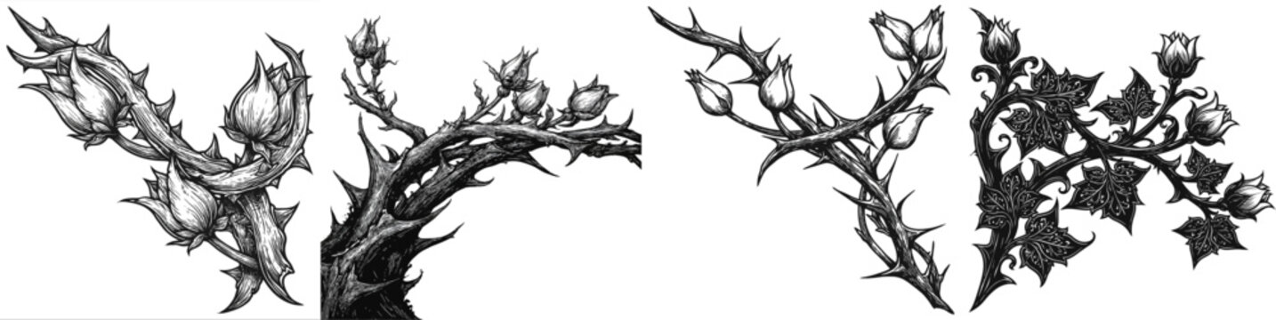 A dark gothic corner vignette features heavy intertwined bramble branches with large sharp thorns and closed tulip buds in high contrast black and white line art, isolated on a solid white background