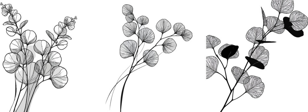 A minimalist linear corner border features three sleek branches of silver dollar eucalyptus with detailed round leaves and simple stems, rendered in high contrast black and white line art with bold