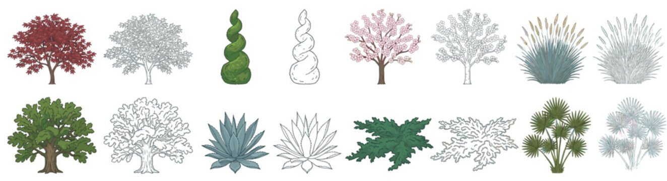 CAD Tree Side View Vector Collection &ndash; Hand Drawn Trees for Architectural Elevations