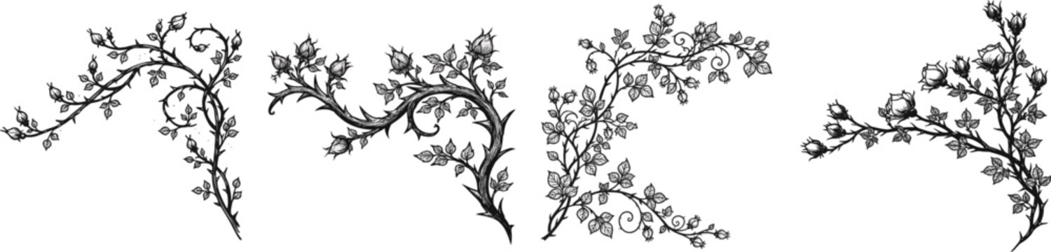 A fairytale briar patch corner flourishes with looping thorn branches, tiny closed rosebuds, and detailed miniature leaves in crisp black and white line art on a pure white background