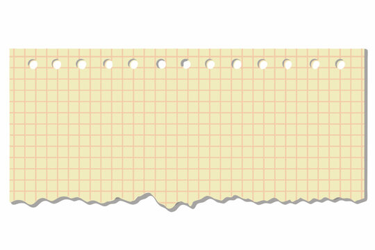 Torn graph paper strip with perforated edge vector illustration