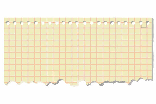 Torn graph paper strip with punched holes flat vector illustration
