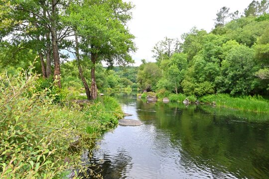 Landscape of the Mi&ntilde;o River in the vicinity of Lugo, Spain