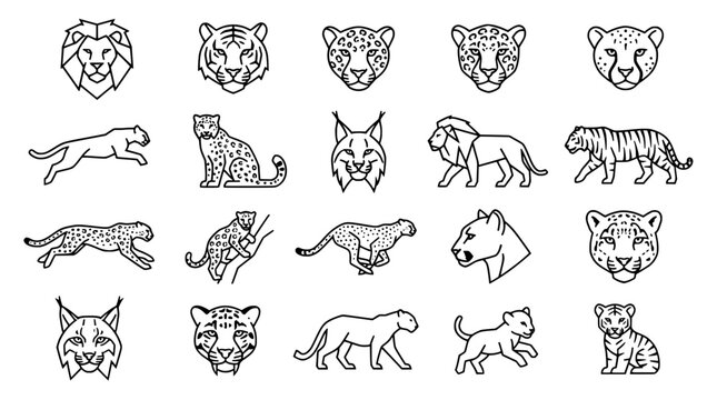 Minimalist vector graphic collection featuring various wild cat species including lions tigers leopards and lynx displayed in simple black line art style icons arranged neatly in rows on transparent b