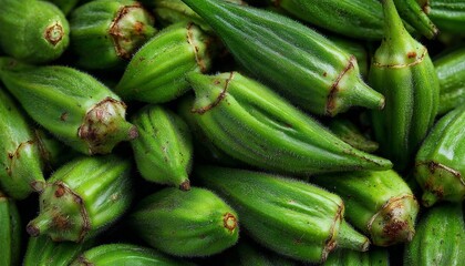 Fototapeta premium Fresh Raw Okra Pods Texture Full Frame Close Up View Organic Green Vegetables Rich In Dietary Fiber