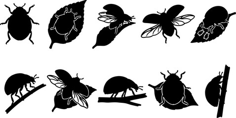 vector can editable Charming ladybug silhouettes exploring the life cycle and movement on botanical elements © Nabil