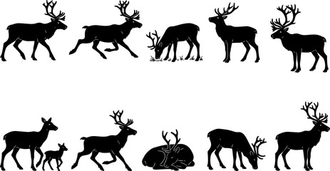 vector can editable Majestic reindeer silhouette set illustrating seasonal arctic wildlife transitions © Nabil