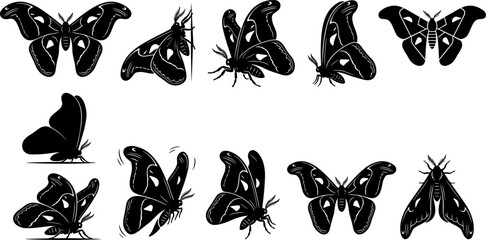 vector can editable Majestic saturniidae silk moth silhouettes in diverse biological postures and wing spans © Nabil