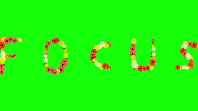 Professional Flowers Professional Green Screen Element