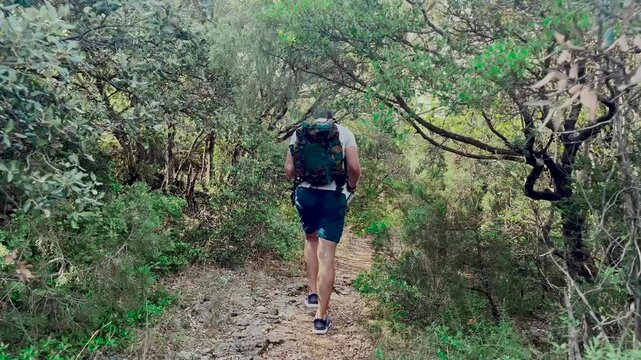 Randonneur qui progresse sur un sentier naturel entourn&eacute; d'arbres et de plantes sauvages