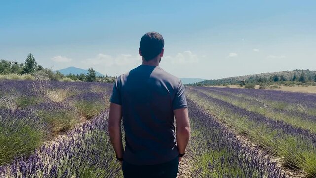 Homme qui se balade dans un champ de lavande en fleurs sous un soleil radieux