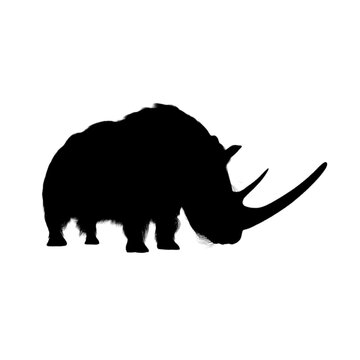 Silhouette of Rhino on white background.