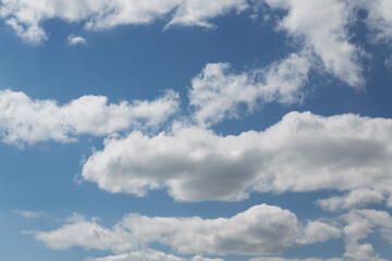 Fototapeta premium White clouds on a summer blue sky for background or wallpaper design. Majestic cumulus clouds float across the endless sky, their graceful forms painting a mesmerizing canvas of beauty and grandeur. 