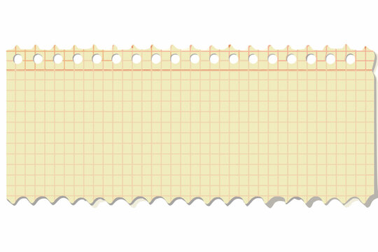 Torn graph paper strip with perforated edge flat vector illustration