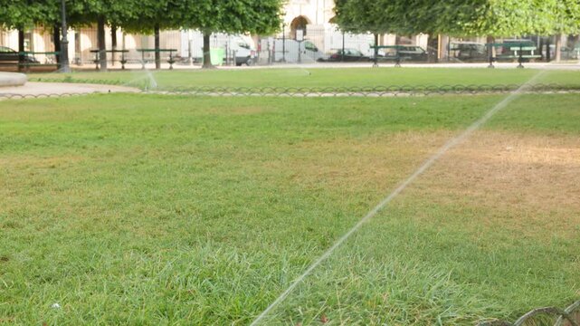 Close-up view of an automated pop-up sprinkler spraying a stream of water over a green park lawn, bordered by a decorative low metal wire fence.