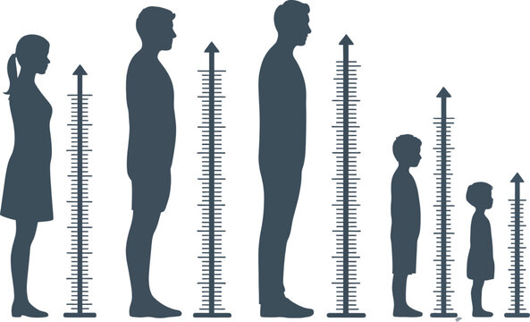 Human, height measurement icon set with person silhouettes and ruler scale for growth monitoring, body size tracking and anthropometric vector illustration.