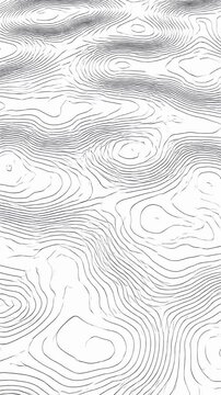 Abstract black and white topographic contour line map pattern.