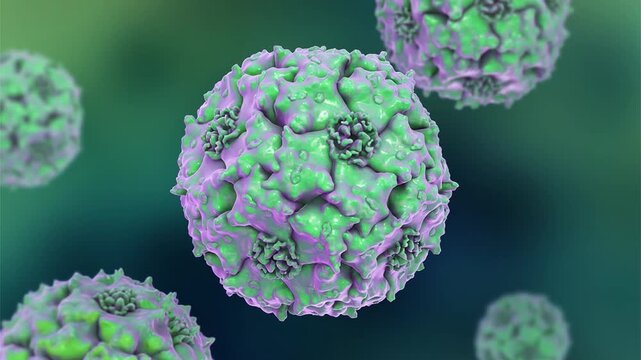 Parvoviruses, 3D animation showing small non-enveloped icosahedral DNA viruses, including pathogens such as parvovirus B19 and canine parvovirus.