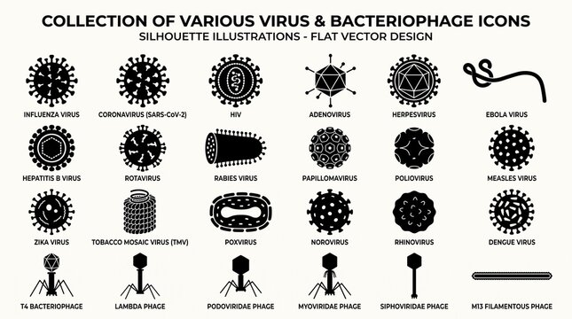 A flat vector collection of virus and bacteriophage silhouettes, showcasing diverse microscopic structures like influenza, coronavirus, HIV, and bacteriophages in educational scientific illustration s