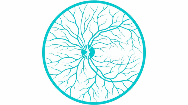 Detailed Illustration of Human Retinal Blood Vessels.