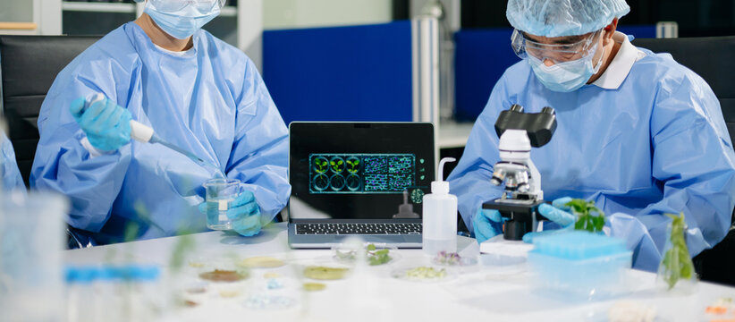 Scientist uses a pipette to test plant and sprout samples in an agricultural biotechnology lab, ensuring food safety