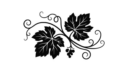 Fototapeta premium Black Silhouette of Grapevine Leaves and Tendrils with Small Bunch of Grapes