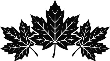 Fototapeta premium Three Black Maple Leaves Silhouette