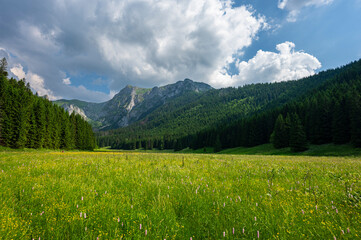 Wielka Polana in Mala Laka Valley, Tatra Mountains, Poland © Szymon Bartosz