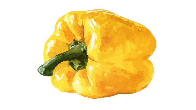 yellow bell pepper