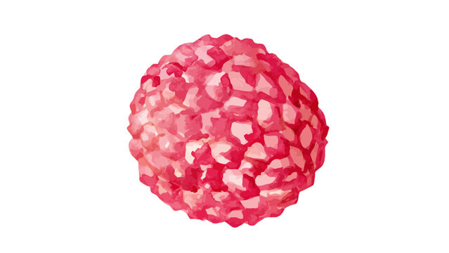 raspberry fruit isolated on white background