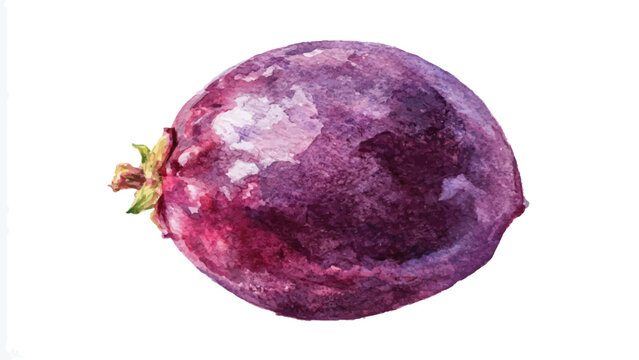 purpple beets on white background