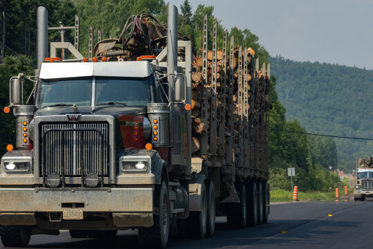 Quebec, Canada, 29 June 2026 : Western Star logging truck transports cut timber on a road with a forested mountain background.