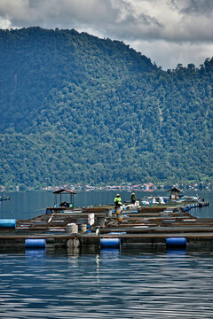 Aquaculture facilities in Indonesia
