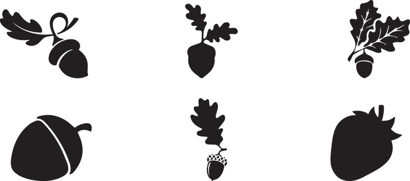 Minimalist acorn silhouette icons, black oak leaf and nut vector set, 6 autumn botanical elements for fall branding and nature logos
