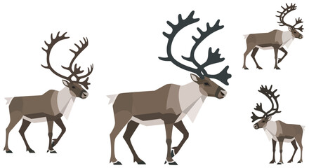 Naklejka premium Reindeer Illustrations Geometric Style On White Background antler antlers caribou