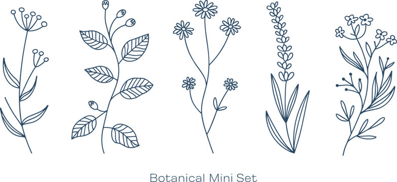 Minimalist botanical line art vector illustration mini set featuring delicate wildflower stems and elegant floral branch drawings