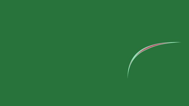A green background with white border and red blue wave screen the letter m on it bird flying in sky stripe this is line middle green screen animated chromakey background colorful movement