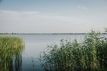 jezioro, pomost, krajobraz, woda, zieleń, jamno © Estera