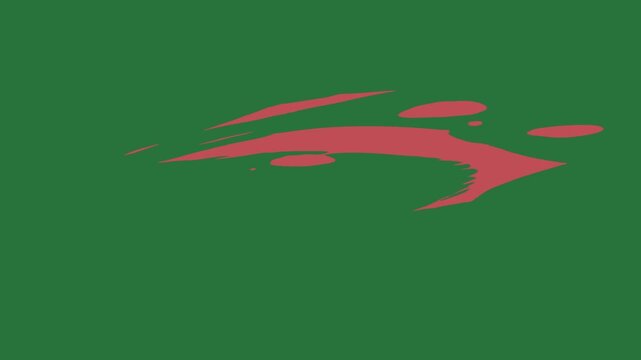 A green background with white border and red fish on screen black logo green screen animated chromakey background expression style movement emotion frame layers figure illustration