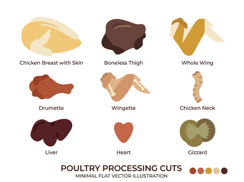 raw chicken pieces and chicken offal