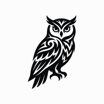 Black and white owl illustration with intricate feather details