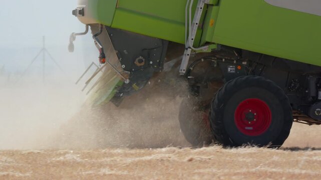 Combine harvester threshing wheat and blowing straw and dust from beneath its body, large tire rolling over golden stubble, farm machinery harvesting the crop on a hot day