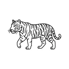 Obraz premium Walking tiger thin line drawing vector illustration isolated on grid background wild animal sketch.