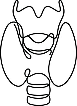 Continuous one line drawing of human thyroid gland anatomy.