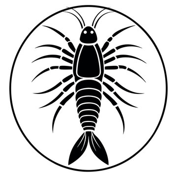 copepod. 