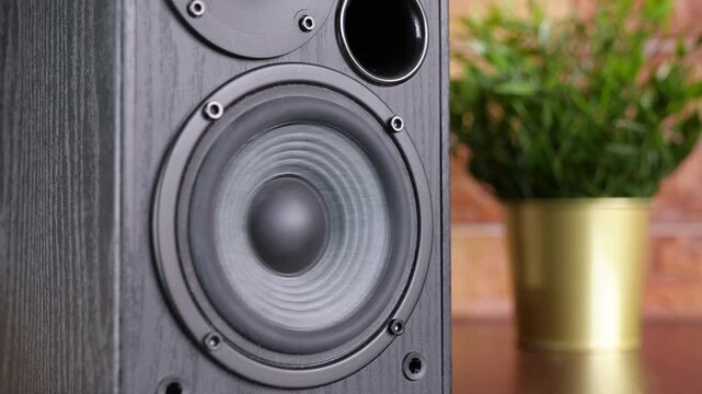 Vibrating speaker cone playing loud bass music. Black audio speaker cone vibrating from loud music with deep bass frequencies. Professional sound system woofer playing in a modern interior